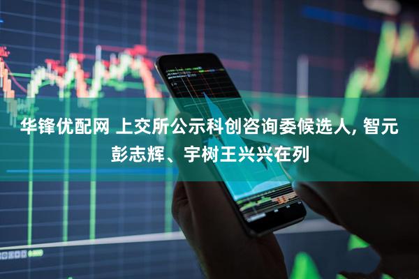 华锋优配网 上交所公示科创咨询委候选人, 智元彭志辉、宇树王兴兴在列