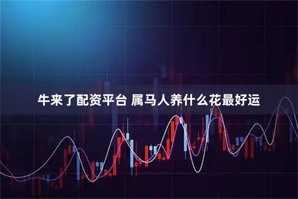 牛来了配资平台 属马人养什么花最好运