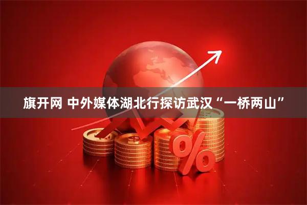 旗开网 中外媒体湖北行探访武汉“一桥两山”
